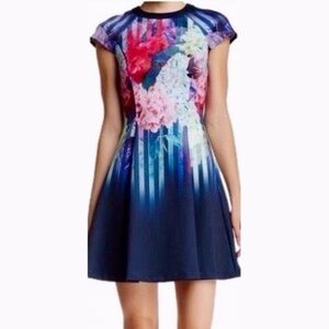 Ted Baker blue floral full skirt dress sz US 8